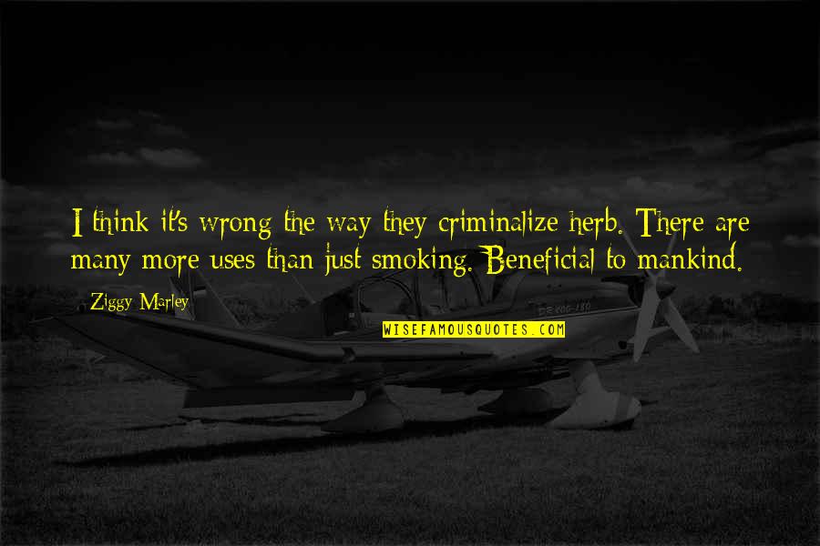 Smoking Herb Quotes By Ziggy Marley: I think it's wrong the way they criminalize