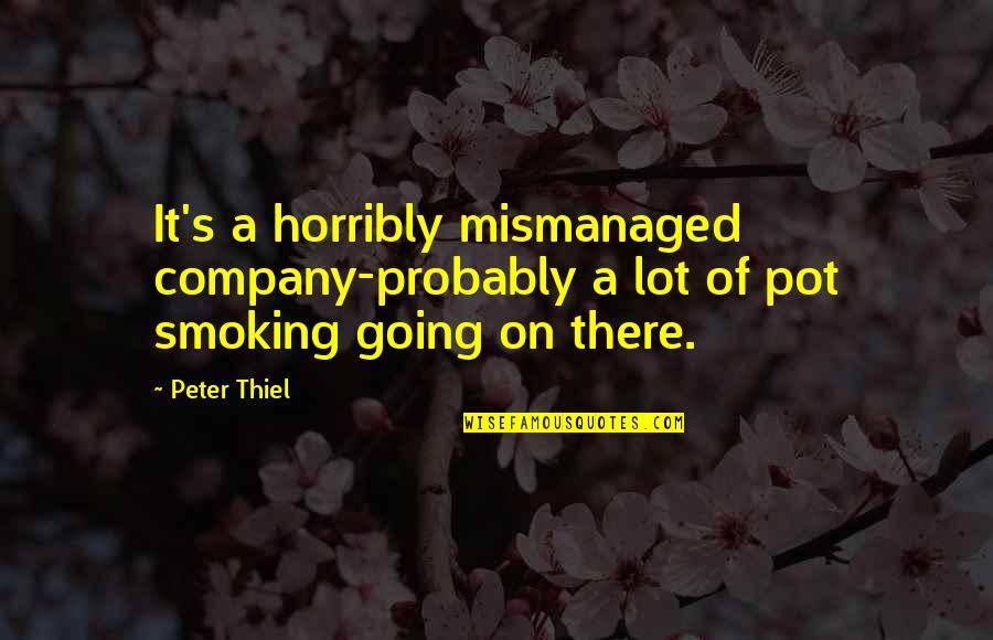 Smoking Pot Quotes By Peter Thiel: It's a horribly mismanaged company-probably a lot of
