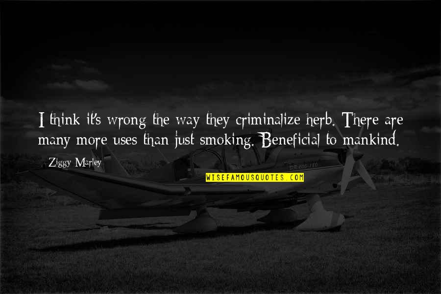 Smoking's Quotes By Ziggy Marley: I think it's wrong the way they criminalize