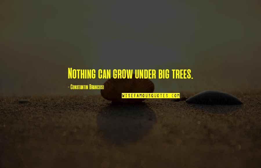 Smoljanovich Quotes By Constantin Brancusi: Nothing can grow under big trees.