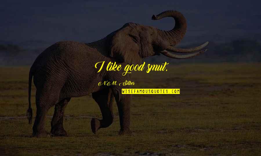 Smooshed Quotes By N.M. Silber: I like good smut, Smooshed Quotes By N.M. Silber: I like good smut,