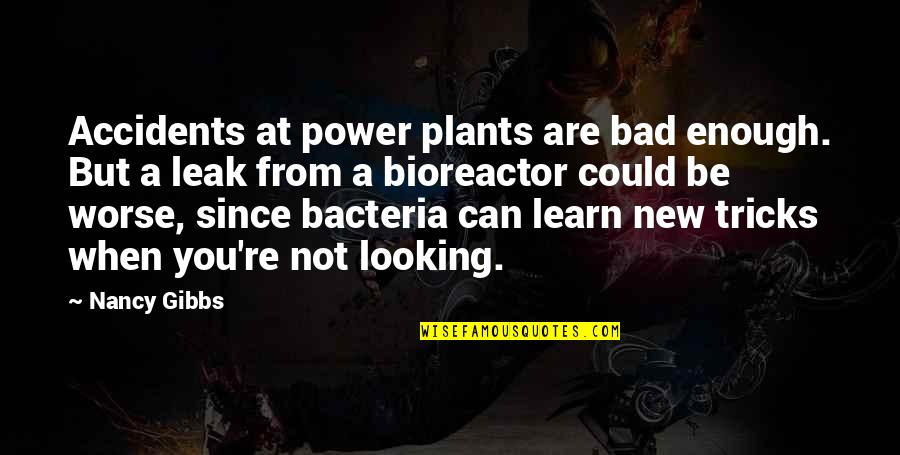 Smooth Relationship Quotes By Nancy Gibbs: Accidents at power plants are bad enough. But