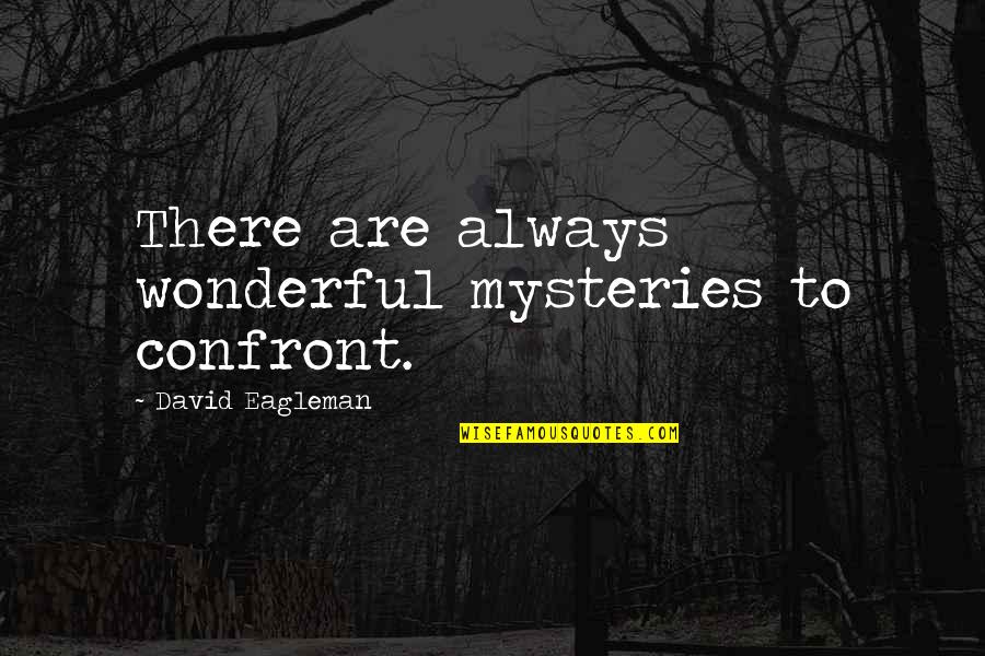 Smoothed Brown Quotes By David Eagleman: There are always wonderful mysteries to confront. Smoothed Brown Quotes By David Eagleman: There are always wonderful mysteries to confront.