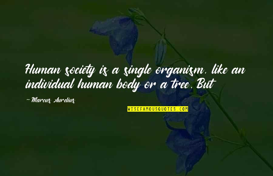 Smuggler Quotes By Marcus Aurelius: Human society is a single organism, like an