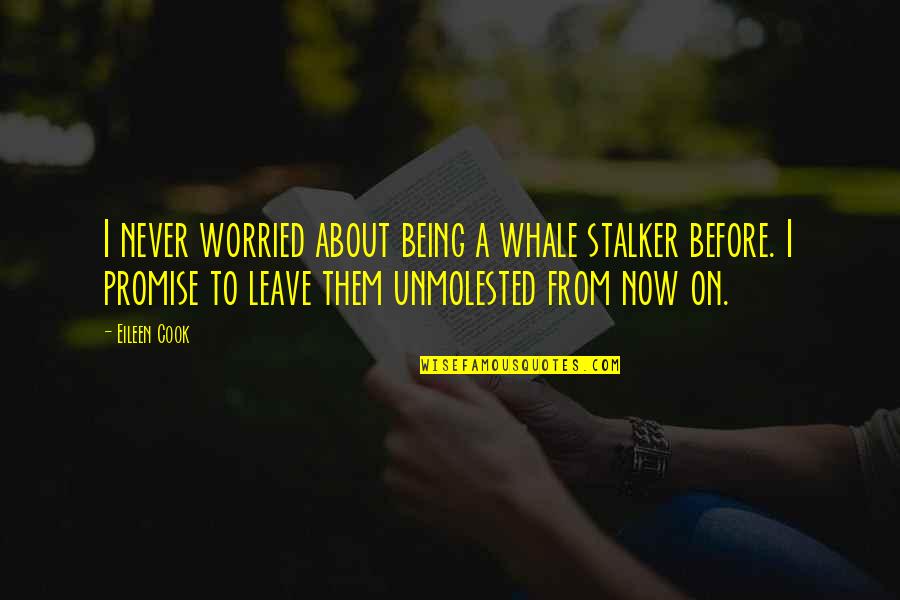 Sn Cap Quotes By Eileen Cook: I never worried about being a whale stalker Sn Cap Quotes By Eileen Cook: I never worried about being a whale stalker