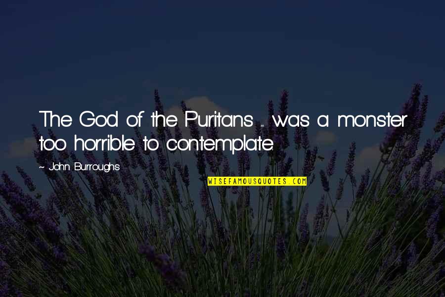 Snagsby Quotes By John Burroughs: The God of the Puritans ... was a