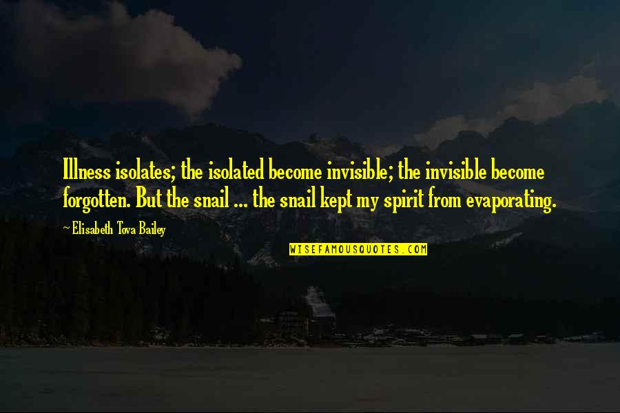 Snail Quotes By Elisabeth Tova Bailey: Illness isolates; the isolated become invisible; the invisible Snail Quotes By Elisabeth Tova Bailey: Illness isolates; the isolated become invisible; the invisible