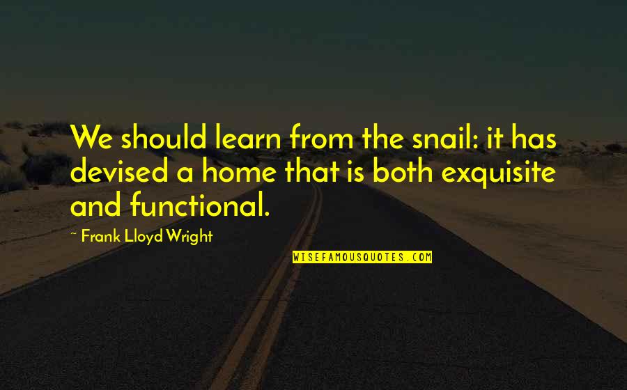 Snail Quotes By Frank Lloyd Wright: We should learn from the snail: it has Snail Quotes By Frank Lloyd Wright: We should learn from the snail: it has