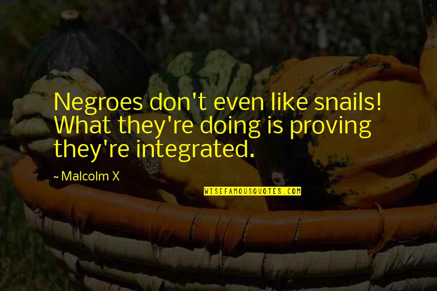 Snail Quotes By Malcolm X: Negroes don't even like snails! What they're doing