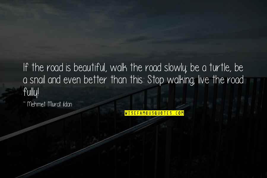 Snail Quotes By Mehmet Murat Ildan: If the road is beautiful, walk the road Snail Quotes By Mehmet Murat Ildan: If the road is beautiful, walk the road