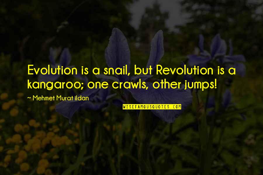 Snail Quotes By Mehmet Murat Ildan: Evolution is a snail, but Revolution is a Snail Quotes By Mehmet Murat Ildan: Evolution is a snail, but Revolution is a