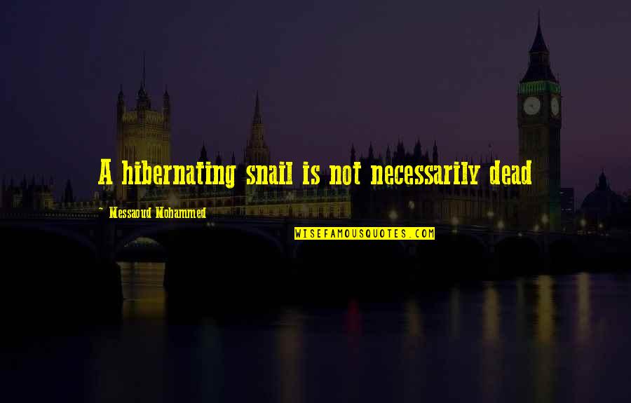 Snail Quotes By Messaoud Mohammed: A hibernating snail is not necessarily dead Snail Quotes By Messaoud Mohammed: A hibernating snail is not necessarily dead