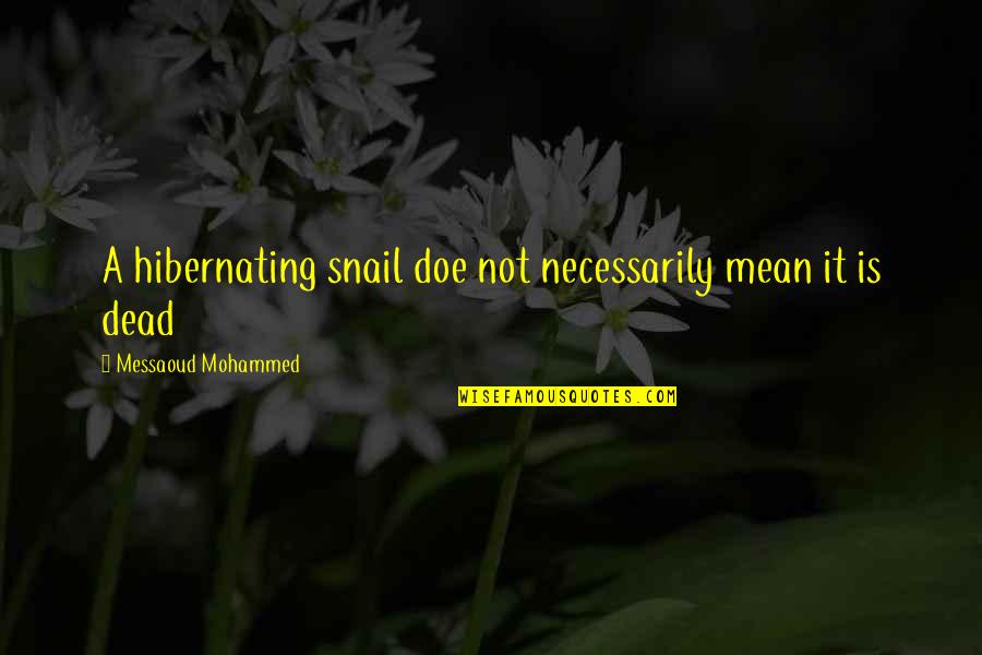 Snail Quotes By Messaoud Mohammed: A hibernating snail doe not necessarily mean it Snail Quotes By Messaoud Mohammed: A hibernating snail doe not necessarily mean it