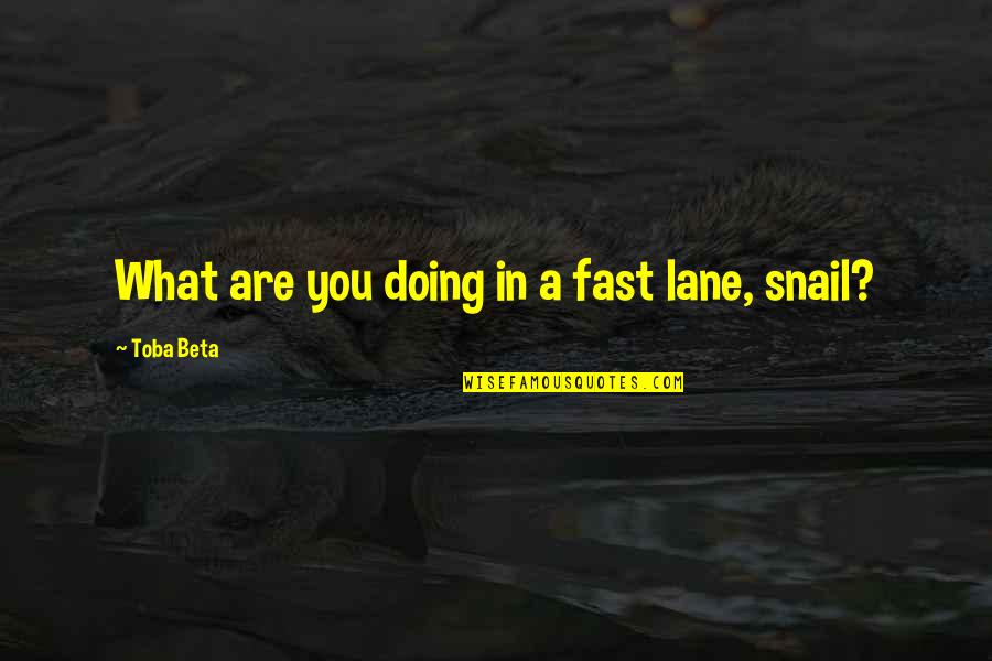 Snail Quotes By Toba Beta: What are you doing in a fast lane, Snail Quotes By Toba Beta: What are you doing in a fast lane,
