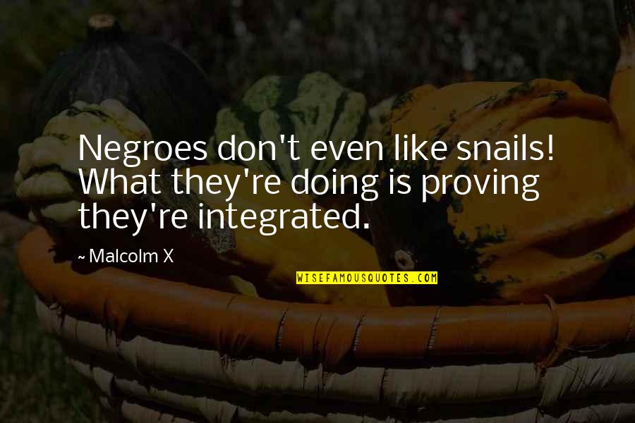 Snails Quotes By Malcolm X: Negroes don't even like snails! What they're doing