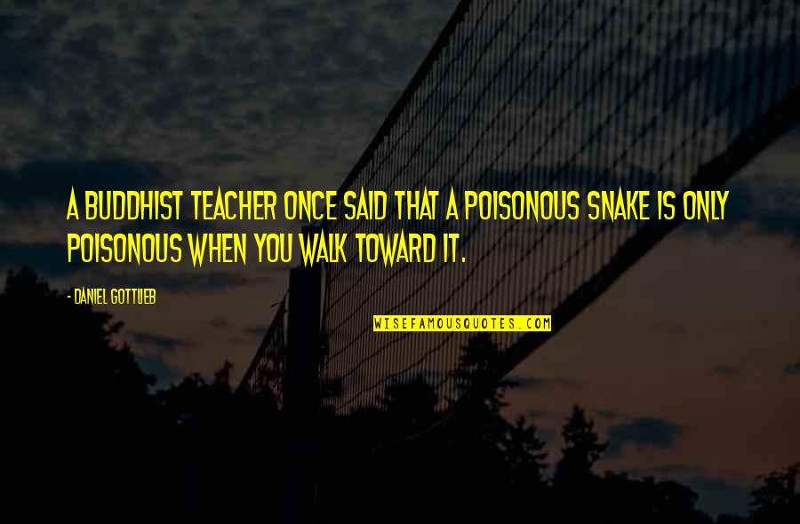 Snake Is Snake Quotes By Daniel Gottlieb: A Buddhist teacher once said that a poisonous Snake Is Snake Quotes By Daniel Gottlieb: A Buddhist teacher once said that a poisonous