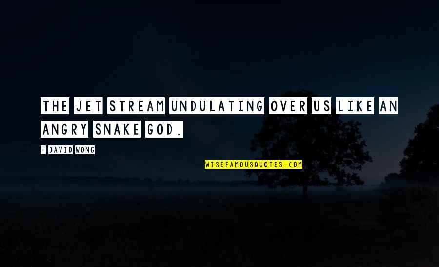Snake Like Quotes By David Wong: the jet stream undulating over us like an