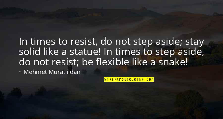 Snake Like Quotes By Mehmet Murat Ildan: In times to resist, do not step aside;