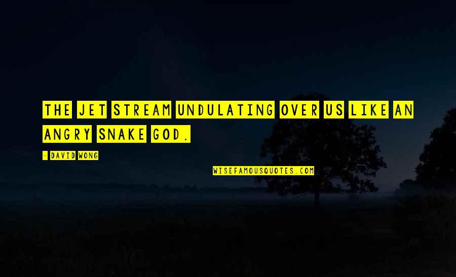 Snake Quotes By David Wong: the jet stream undulating over us like an