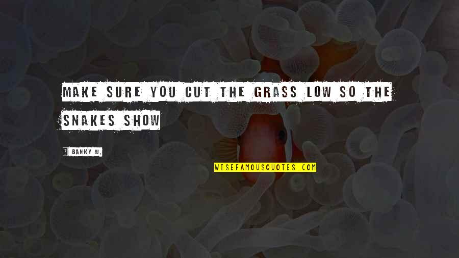 Snakes Grass Quotes By Banky W.: Make sure you cut the grass low so