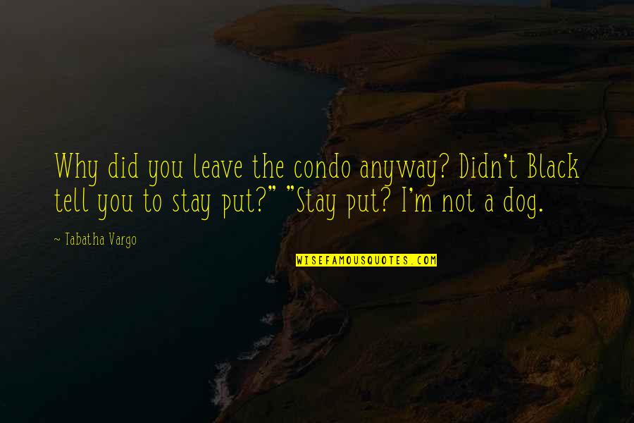 Snakes Grass Quotes By Tabatha Vargo: Why did you leave the condo anyway? Didn't Snakes Grass Quotes By Tabatha Vargo: Why did you leave the condo anyway? Didn't