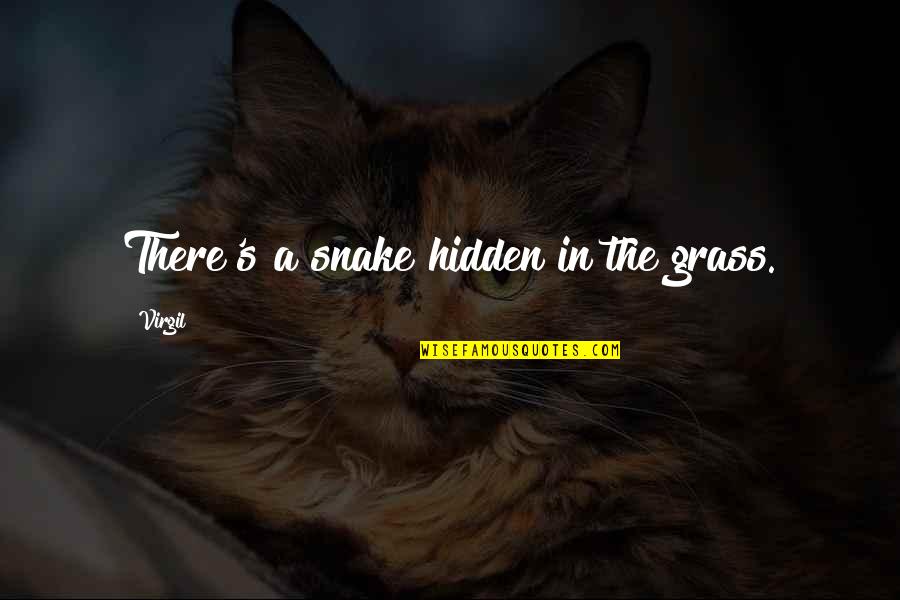 Snakes Grass Quotes By Virgil: There's a snake hidden in the grass.