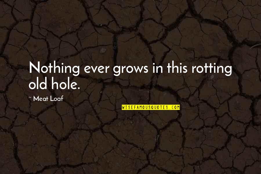 Snakes N Barrels Quotes By Meat Loaf: Nothing ever grows in this rotting old hole. Snakes N Barrels Quotes By Meat Loaf: Nothing ever grows in this rotting old hole.