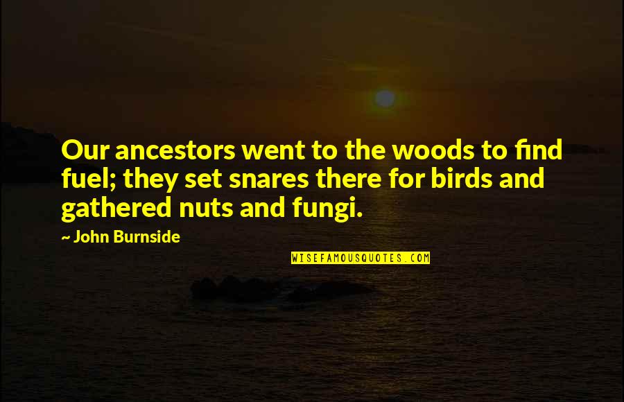 Snares Quotes By John Burnside: Our ancestors went to the woods to find