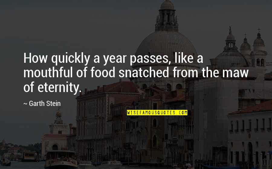 Snatched Quotes By Garth Stein: How quickly a year passes, like a mouthful