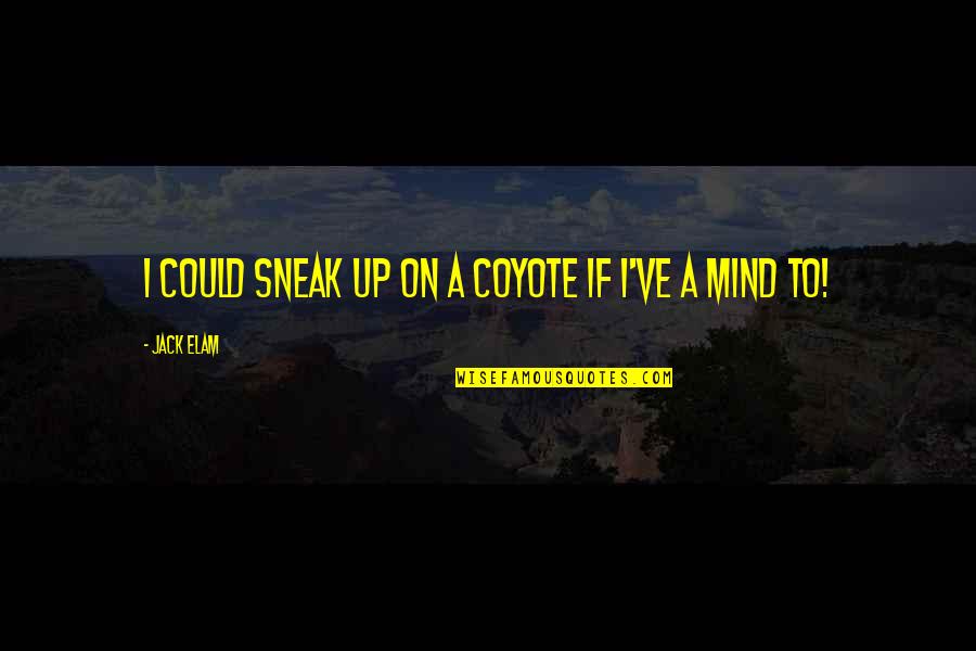 Sneak Out Quotes By Jack Elam: I could sneak up on a coyote if