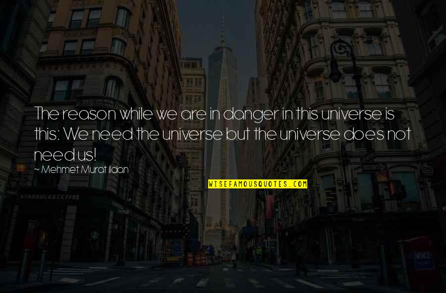 Sneakerhead Logo Quotes By Mehmet Murat Ildan: The reason while we are in danger in