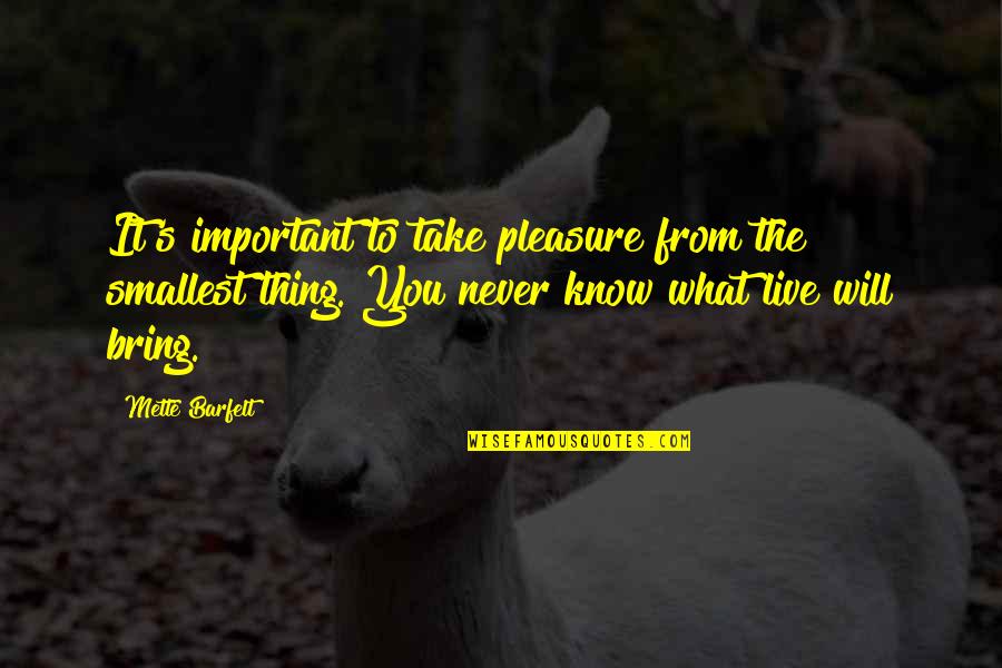 Snehalaya Ngo Quotes By Mette Barfelt: It's important to take pleasure from the smallest Snehalaya Ngo Quotes By Mette Barfelt: It's important to take pleasure from the smallest