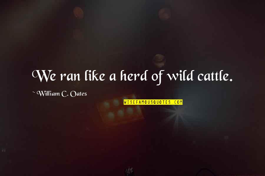 Snehalaya Ngo Quotes By William C. Oates: We ran like a herd of wild cattle. Snehalaya Ngo Quotes By William C. Oates: We ran like a herd of wild cattle.