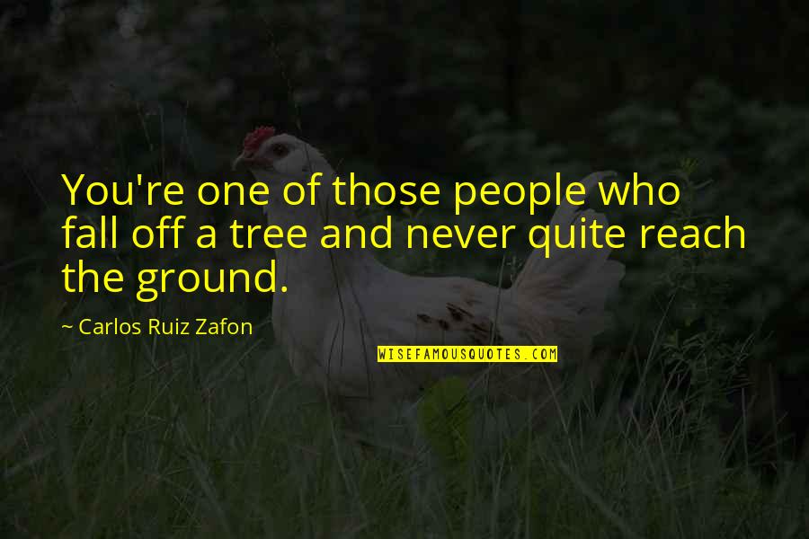 Snelweg Quotes By Carlos Ruiz Zafon: You're one of those people who fall off
