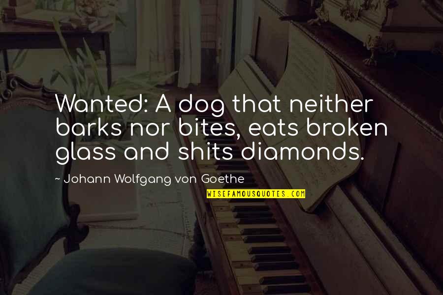 Snelweg Quotes By Johann Wolfgang Von Goethe: Wanted: A dog that neither barks nor bites,