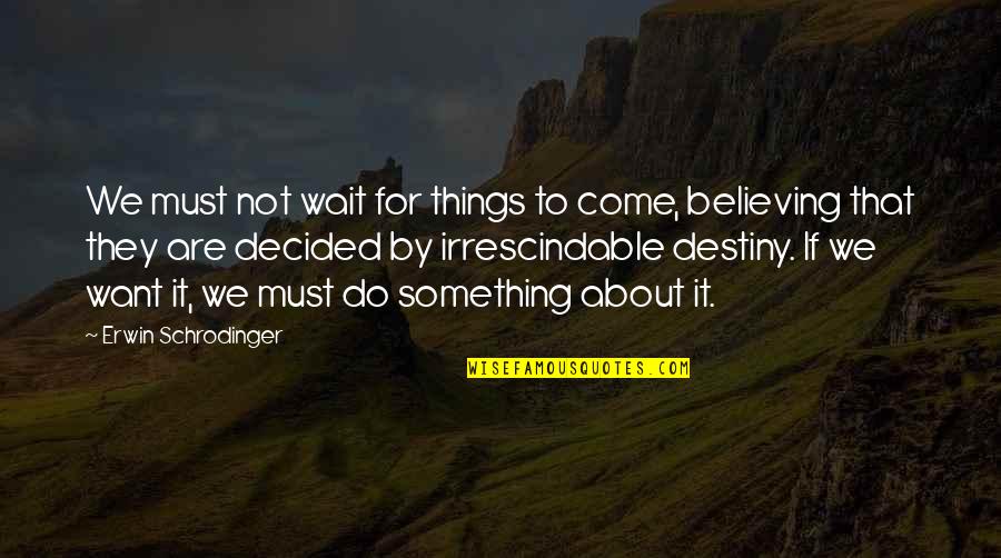 Sniegocki Weaver Quotes By Erwin Schrodinger: We must not wait for things to come,