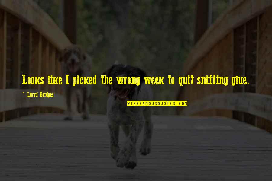 Sniffing Quotes By Lloyd Bridges: Looks like I picked the wrong week to