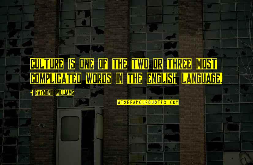 Sniffleease Quotes By Raymond Williams: Culture is one of the two or three