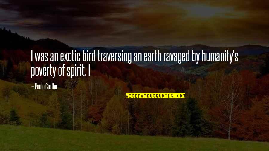 Snijders Quotes By Paulo Coelho: I was an exotic bird traversing an earth