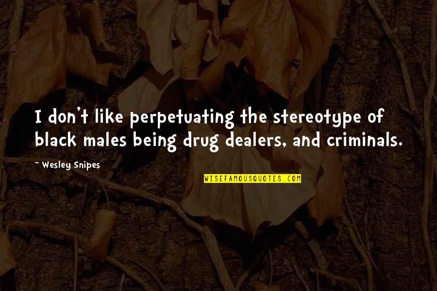 Snipes Quotes By Wesley Snipes: I don't like perpetuating the stereotype of black Snipes Quotes By Wesley Snipes: I don't like perpetuating the stereotype of black