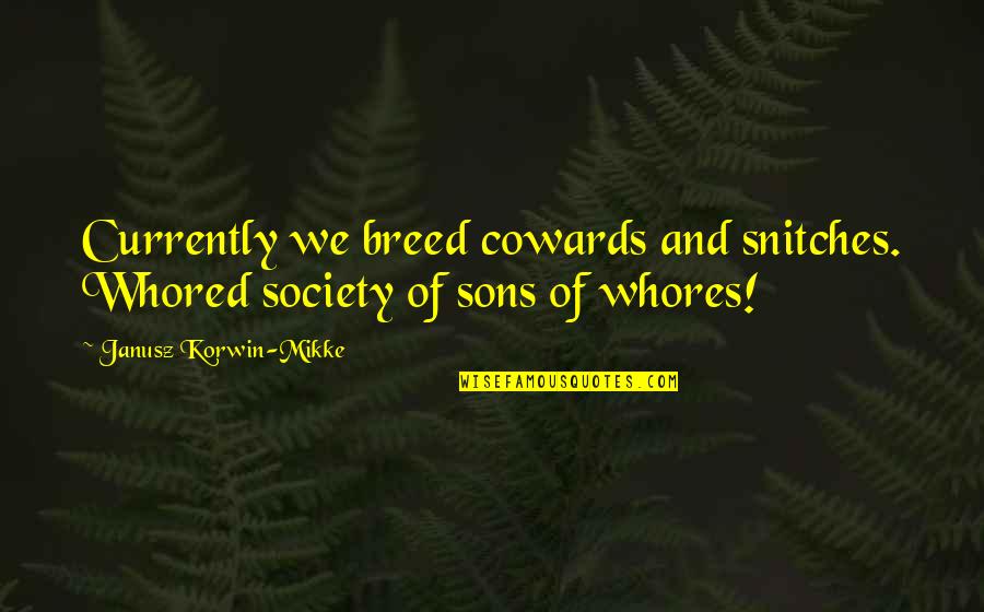 Snitches Quotes By Janusz Korwin-Mikke: Currently we breed cowards and snitches. Whored society