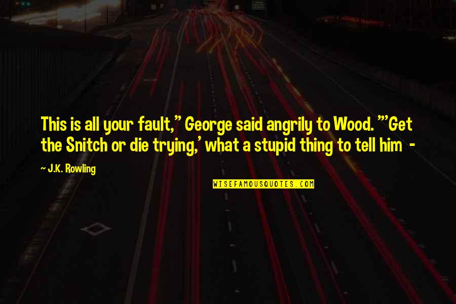 Snitch's Quotes By J.K. Rowling: This is all your fault," George said angrily Snitch's Quotes By J.K. Rowling: This is all your fault," George said angrily