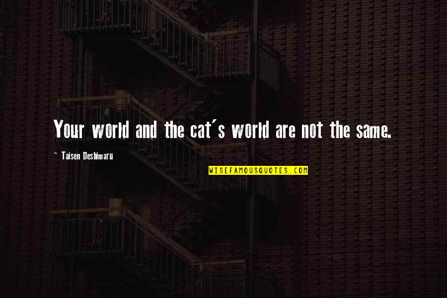 Snl Maxi Pad Skit Quotes By Taisen Deshimaru: Your world and the cat's world are not