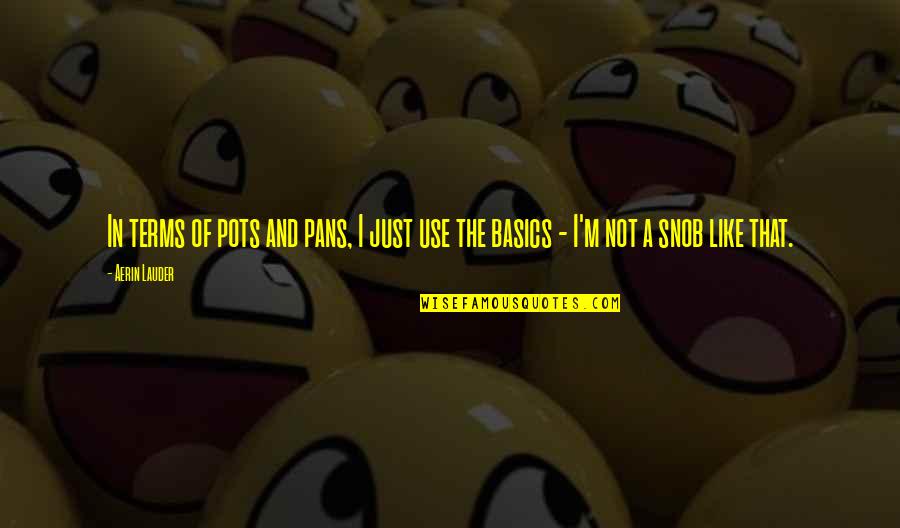Snob Quotes By Aerin Lauder: In terms of pots and pans, I just