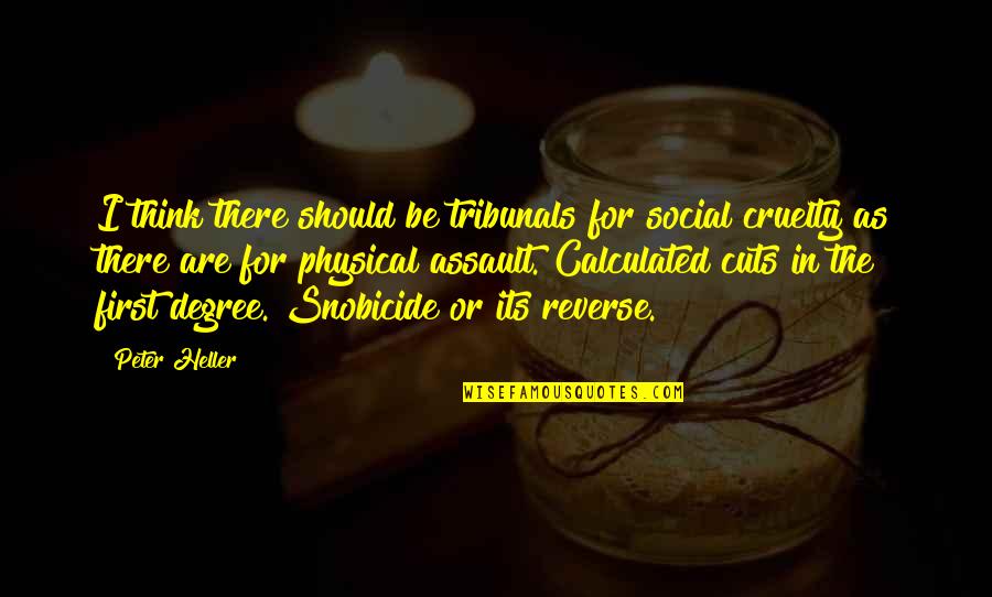 Snobicide Quotes By Peter Heller: I think there should be tribunals for social