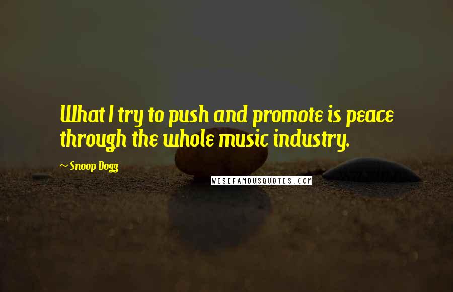 Snoop Dogg quotes: What I try to push and promote is peace through the whole music industry.