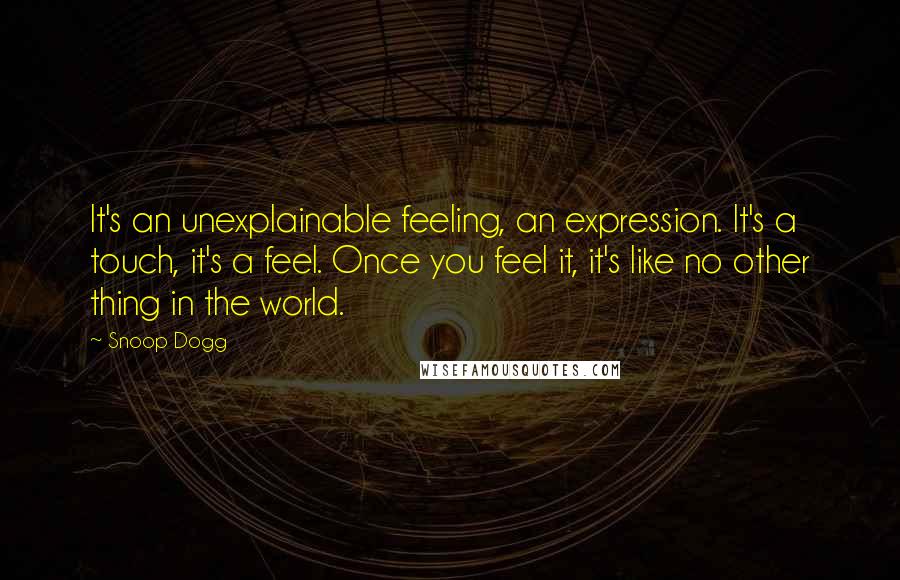 Snoop Dogg quotes: It's an unexplainable feeling, an expression. It's a touch, it's a feel. Once you feel it, it's like no other thing in the world.