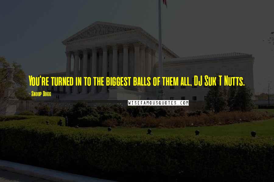 Snoop Dogg quotes: You're turned in to the biggest balls of them all, DJ Suk T Nutts.