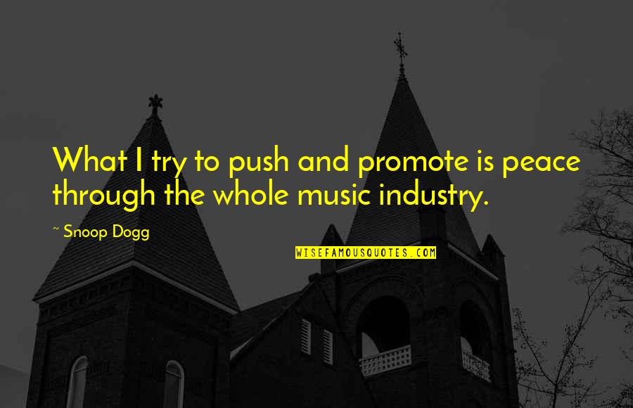 Snoop Quotes By Snoop Dogg: What I try to push and promote is