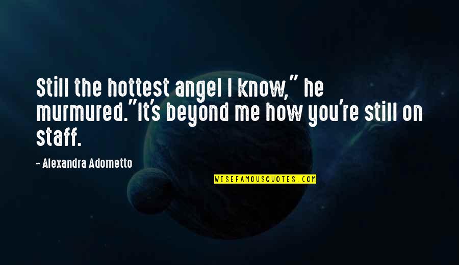 Snooping Spying Quotes By Alexandra Adornetto: Still the hottest angel I know," he murmured."It's